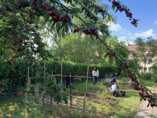 potager-maternelle-samois-sur-seine