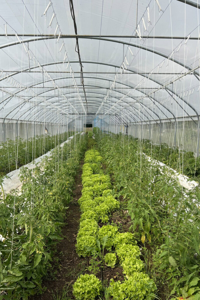 Ferme des Gogottes - Samois-sur-Seinea